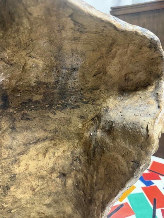 Image 1 of Torso maschile