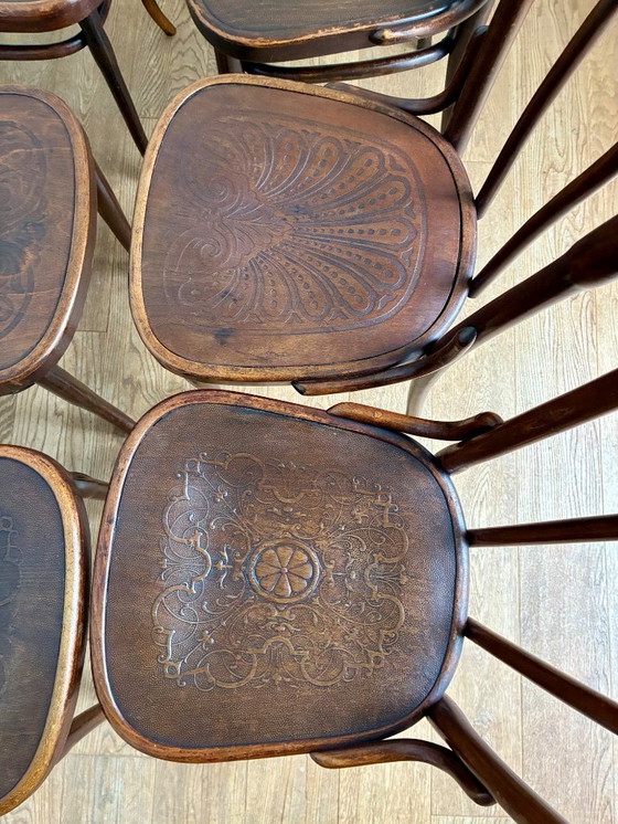 Image 1 of 6 sillas Thonet n.º 56