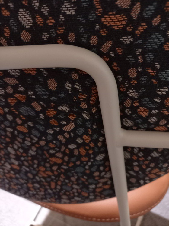 Image 1 of BertPlantagie enset Daisy S/4