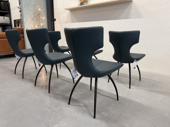 Image 1 of 6 Leolux Callas Eetkamerstoel Senso Sagada Leer