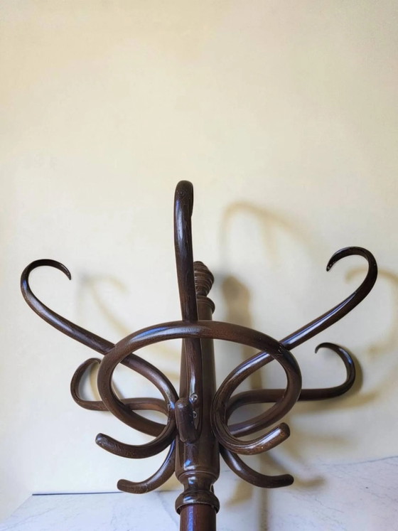 Appendiabiti a pappagallo in legno curvato di Thonet – Wood, Art Deco (photo 6 of 8)