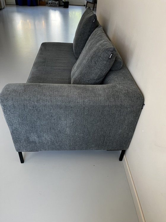 Diseño Freistil Rolf Benz 187 Sofás modulares / Juego de sofás lounge - Gris – Metal, Textile (photo 11 of 14)