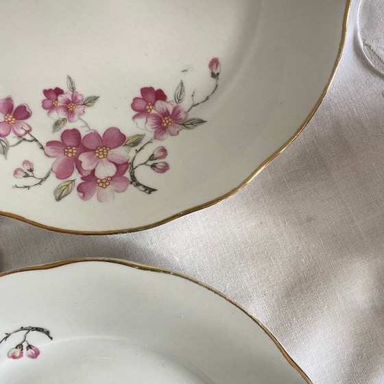 Image 1 of Set aus 6 antiken Desserttellern aus Royal Tognana Porzellan, Italien