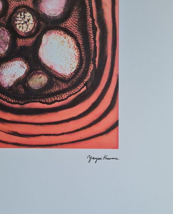 Image 1 of D'après Yayoi Kusama, Sans titre, Lithographie, années 1990