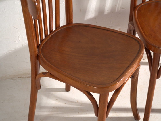 Set of 4 Antique chairs in Thonet style bentwood – Central Europe, circa 1930 #2 – Dining chairs (photo 39 of 40)