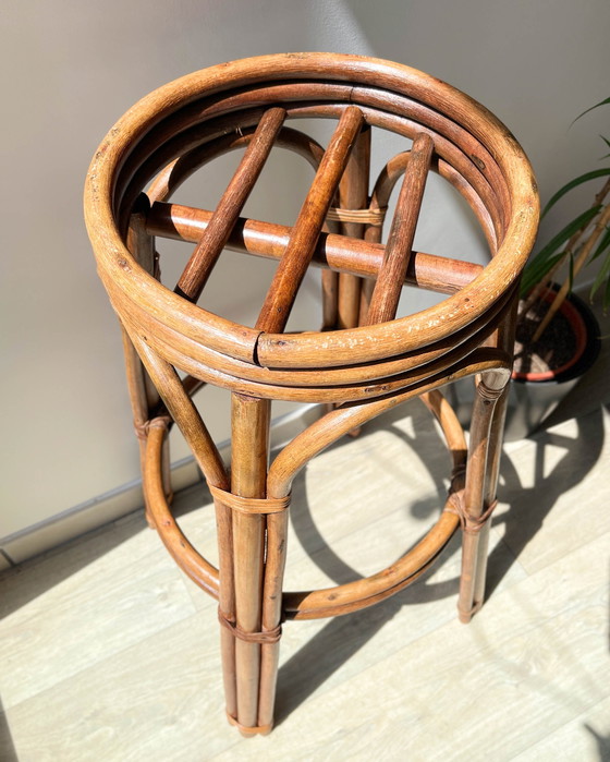 Image 1 of Sgabello da bar vintage in legno curvato, anni '50