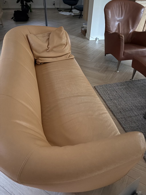 Leolux modèle pupille cuir Scandinavie 44371
