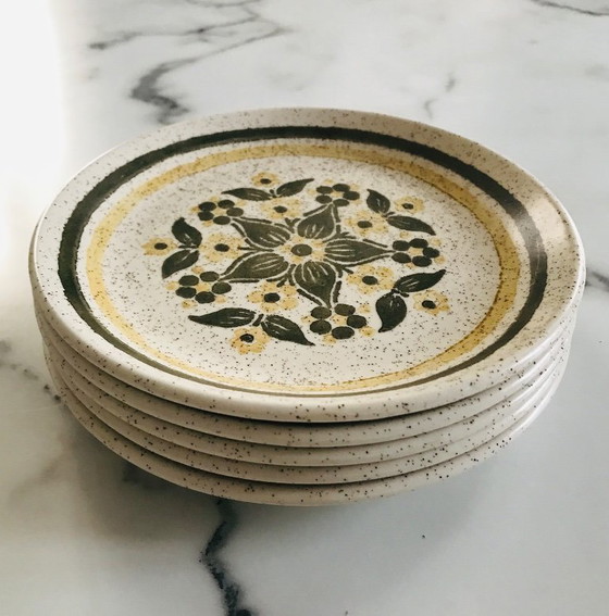 Image 1 of Vintage English Biltons dessert plates