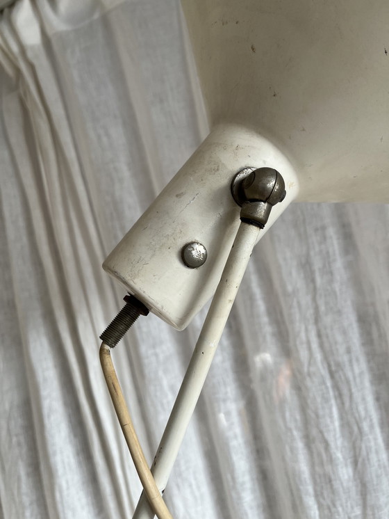 Image 1 of Stehleuchte & Pendelleuchte Artifort 1956