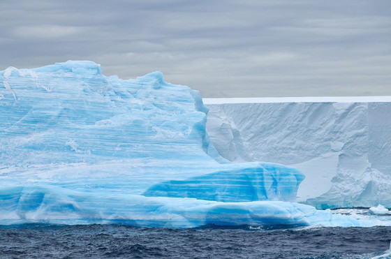 Image 1 of Exclusief Tweeluik Antarctica / Mike Louagie op Dibond (80 x 53 cm)