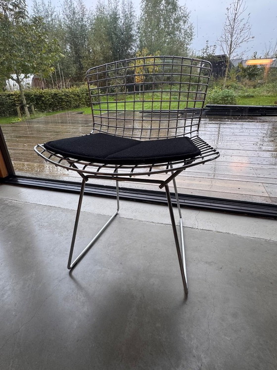6 Knoll Bertoia – Esszimmerstühle, Eisen, Stoff (photo 3 of 5)