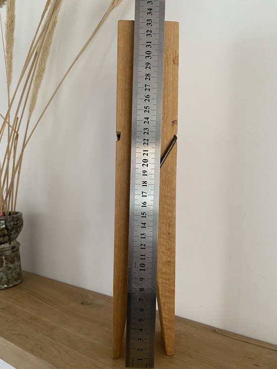 Image 1 of Eyecatcher - reuzen wasknijper - stoer