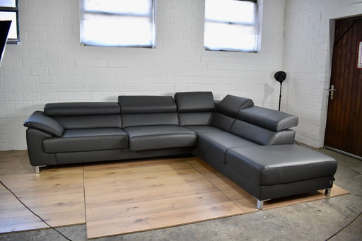 Leather sofa Ewald Schillig Blues leather corner sofa leather couch sofa sofa bed couch corner sofa