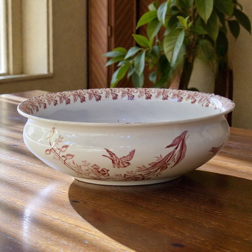Very large 19th-century bird bowl signed St Amand, Orchids collection