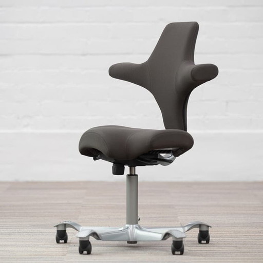 Hag Capisco Ergonomic Office Chair