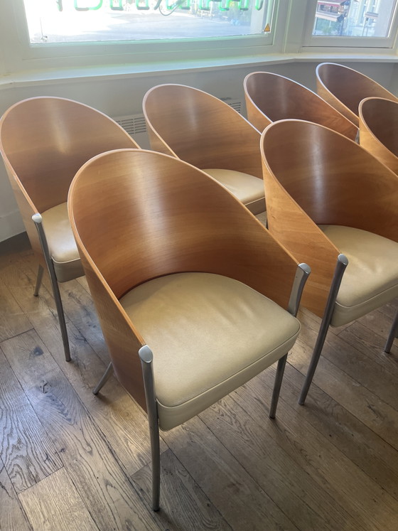 8x Aleph Starck King Costes – Philippe Starck, Sedie da pranzo, Leather, Wood (photo 6 of 9)
