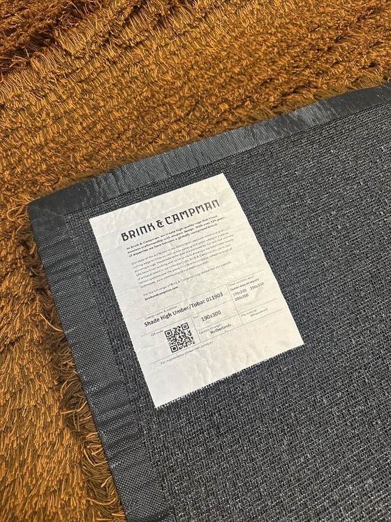 Image 1 of Brink en Campman Shade High Umber Tobac Rug 11903 190 x 300 cm