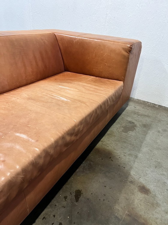 Image 1 of Sofá XL, Montis Malou, Tapizado en Cuero, Coñac