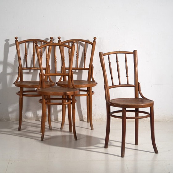 Antikes Set von 4 Bugholzstühlen aus gebogenem Holz – Mitteleuropa, um 1900 – Thonet, Esszimmerstühle, Metal (photo 7 of 40)