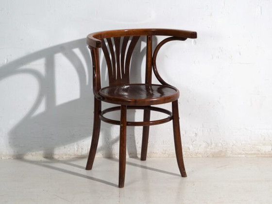 Pair of antique bentwood chairs in the Thonet style – Central Europe, circa 1905 – Dining chairs (photo 36 of 40)
