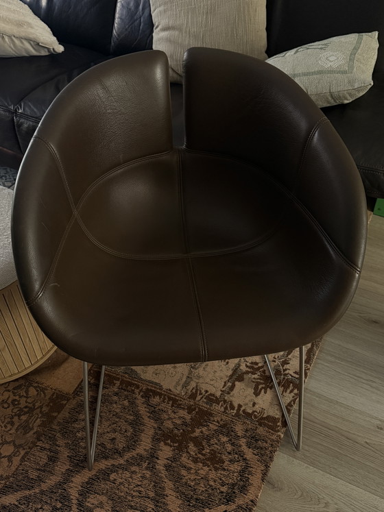 1 sedia Moroso Fjord in pelle – Sedie e poltrone, Leather, Metal (photo 4 of 5)