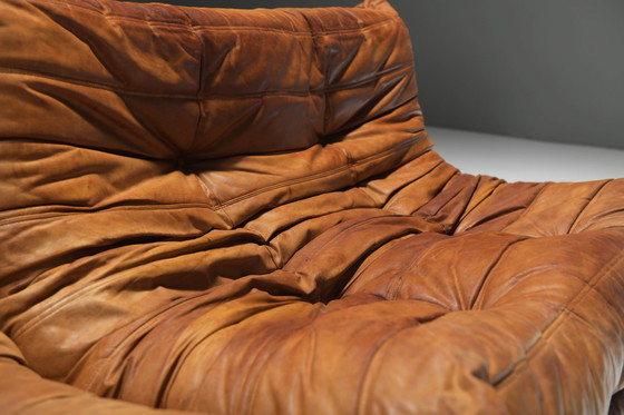 Image 1 of Perfect Rich Patinated Togo in Original Natural Leather by Michel Ducaroy - Ligne Roset