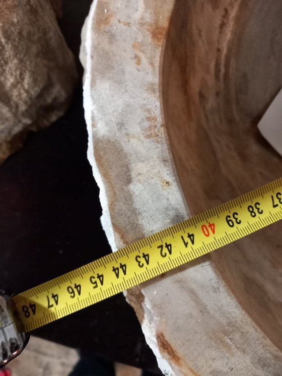 Image 1 of Waschbecken/Spüle aus versteinertem Holz von Differentz, 39 cm Durchmesser