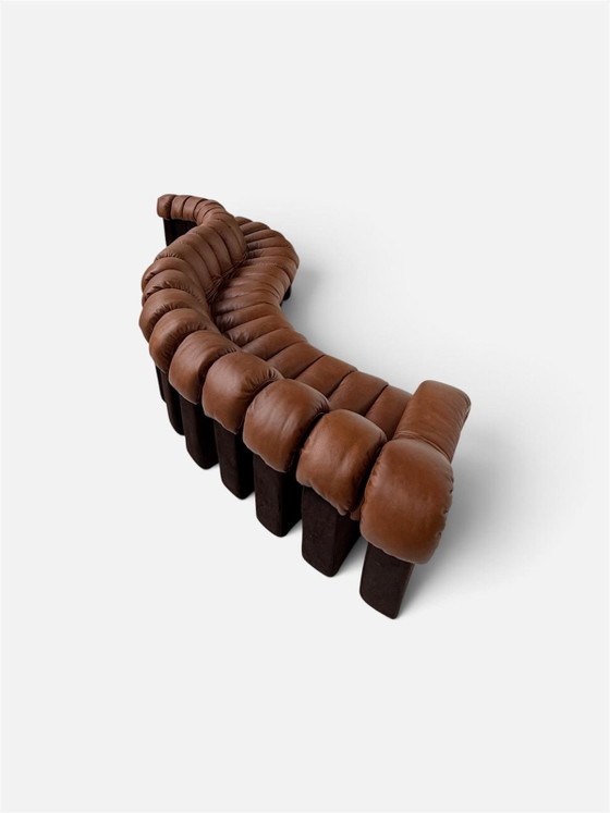 De Sede Ds600 Snake en cuir Cognac, 20 éléments, Canapés modulables, Textile, Marron (photo 5 sur 15)