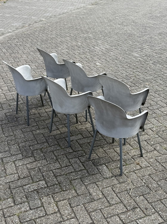Image 1 of 6x Marcello Ziliane Sinesto Gogo chair