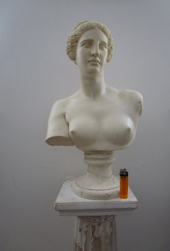 Image 1 of Busto antiguo, ¿Afrodita?