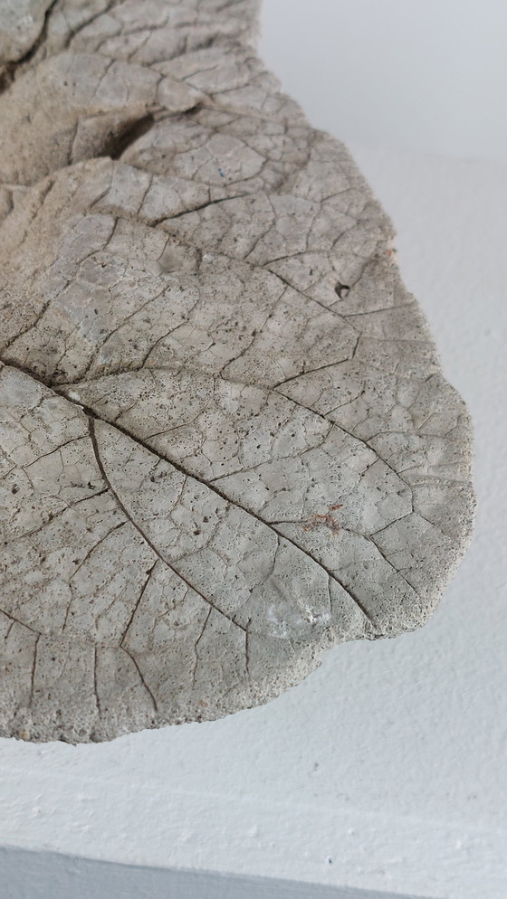 Image 1 of Coupe à fruits vintage en béton coulé, motif de feuille, pour bain d'oiseaux.