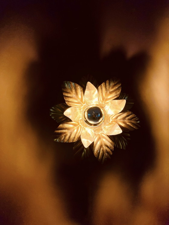 Image 1 of Bellissima lampada da parete a forma di foglia (Hans Kogl)