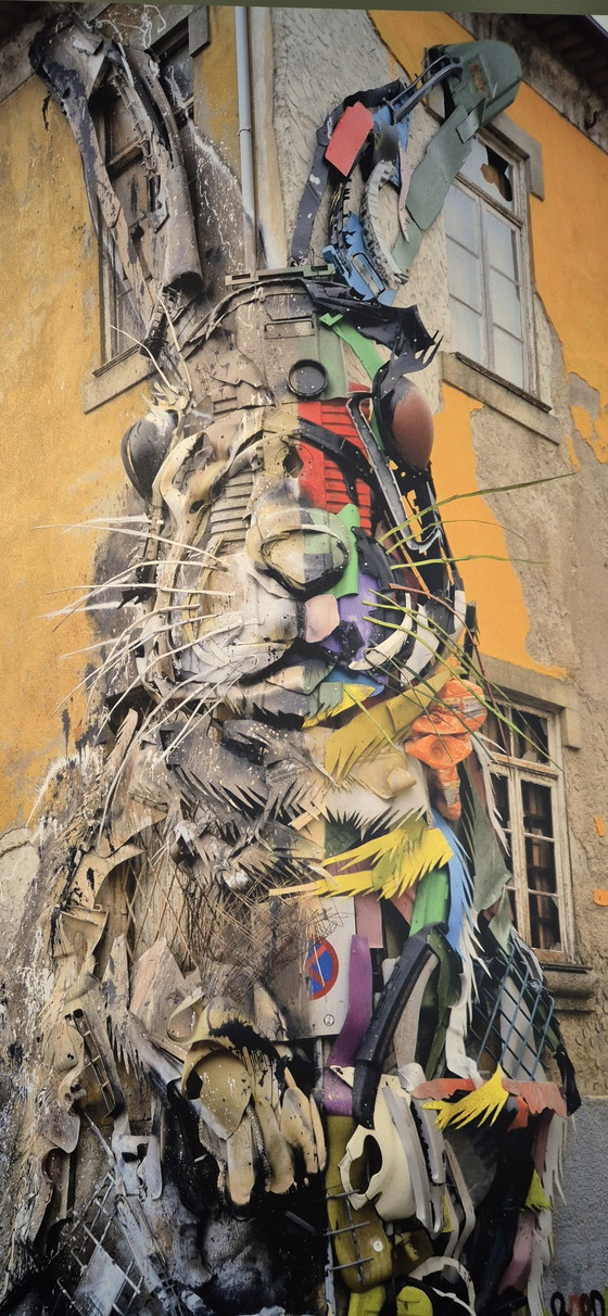 Photographies d'art Bordalo II Rabbit Konijn sur Forex 120x80 – Other (photo 2 of 5)