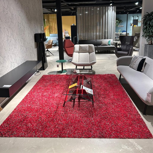 Millenerpoort Licasa rug - 235x300