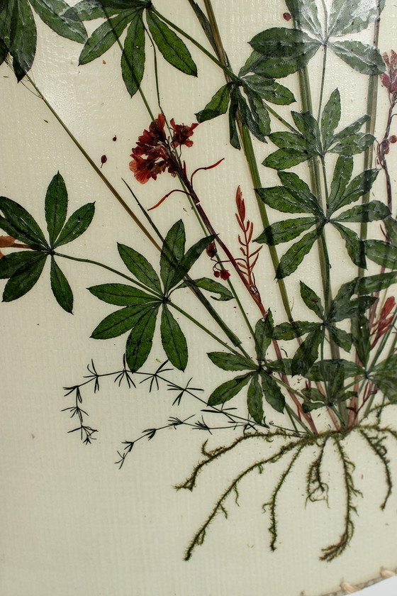 Image 1 of Stehleuchte von Hesse Leuchten