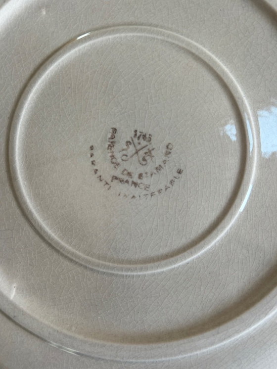 Image 1 of 6 piatti di pesce Saint Amand