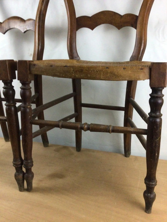 Coppia di sedie pacciamate – Sedie da pranzo, Wood (photo 5 of 11)
