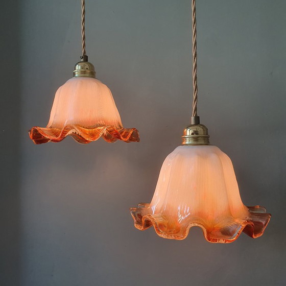 Set of Vintage Glass Pendant Lights. Floral / Flower-shaped Glass – Pendant lamps, Metal (photo 15 of 24)