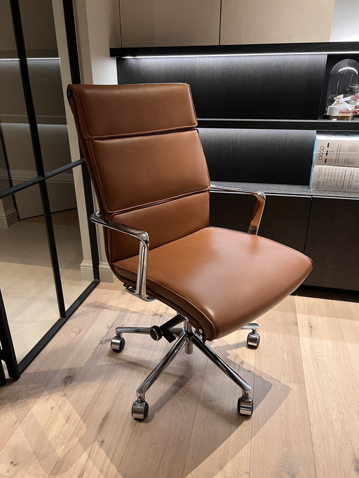 Presidente esecutivo ICF UNA