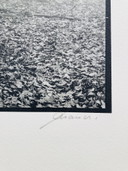 Ralph Janowski - Photo Print Trees - Large Format