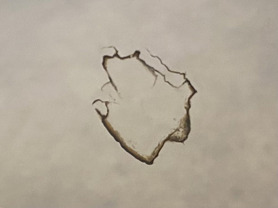 Image 1 of Antique Large Baroque Mirror, circa 1900