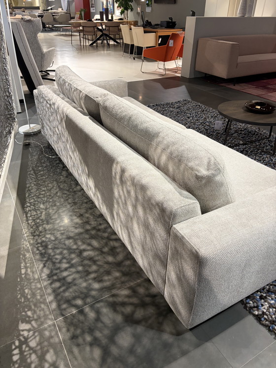 Image 1 of Kartel Living “Lowland”