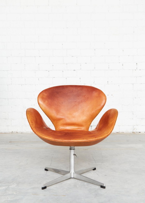 Image 1 of Sedia Swan disegnata da Arne Jacobsen per Fritz Hansen