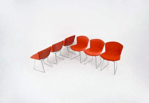 Stühle von Harry Bertoia für Knoll, 1960er Jahre, 6er-Set