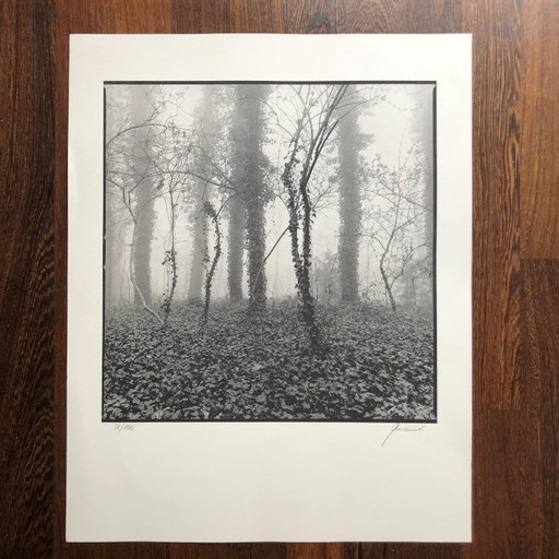 Stampa fotografica firmata Ralph Janowski 38/100