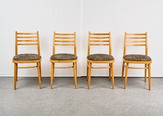 Set di 4 Sedie da pranzo, di TON, anni '60, Cecoslovacchia – Tessile, Legno (photo 2 of 20)