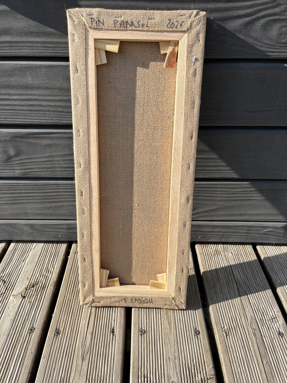Image 1 of Umbrella pine 50x20cm
