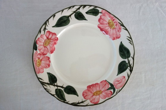 8 Villeroy & Boch Dessertteller „Wild Rose“, 1970 – Geschirr, Porcelain (photo 3 of 6)