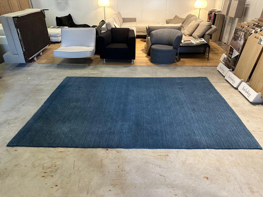 Blauer Bolia-Teppich 300×210