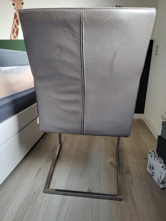 4 X Grijze Bert Plantagie Tidy Stoelen – Eetkamerstoelen, Leather, rvs (photo 8 of 8)